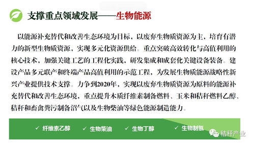 專題丨 十三五 生物技術創新專項規劃關注秸稈生物能源技術